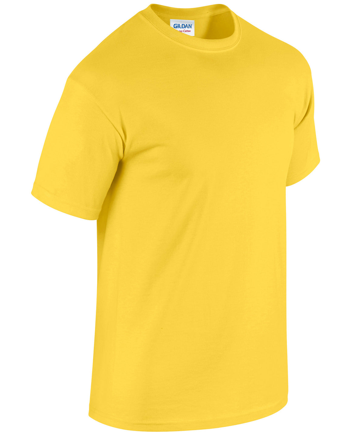 GD005 Heavy Cotton™ adult t-shirt